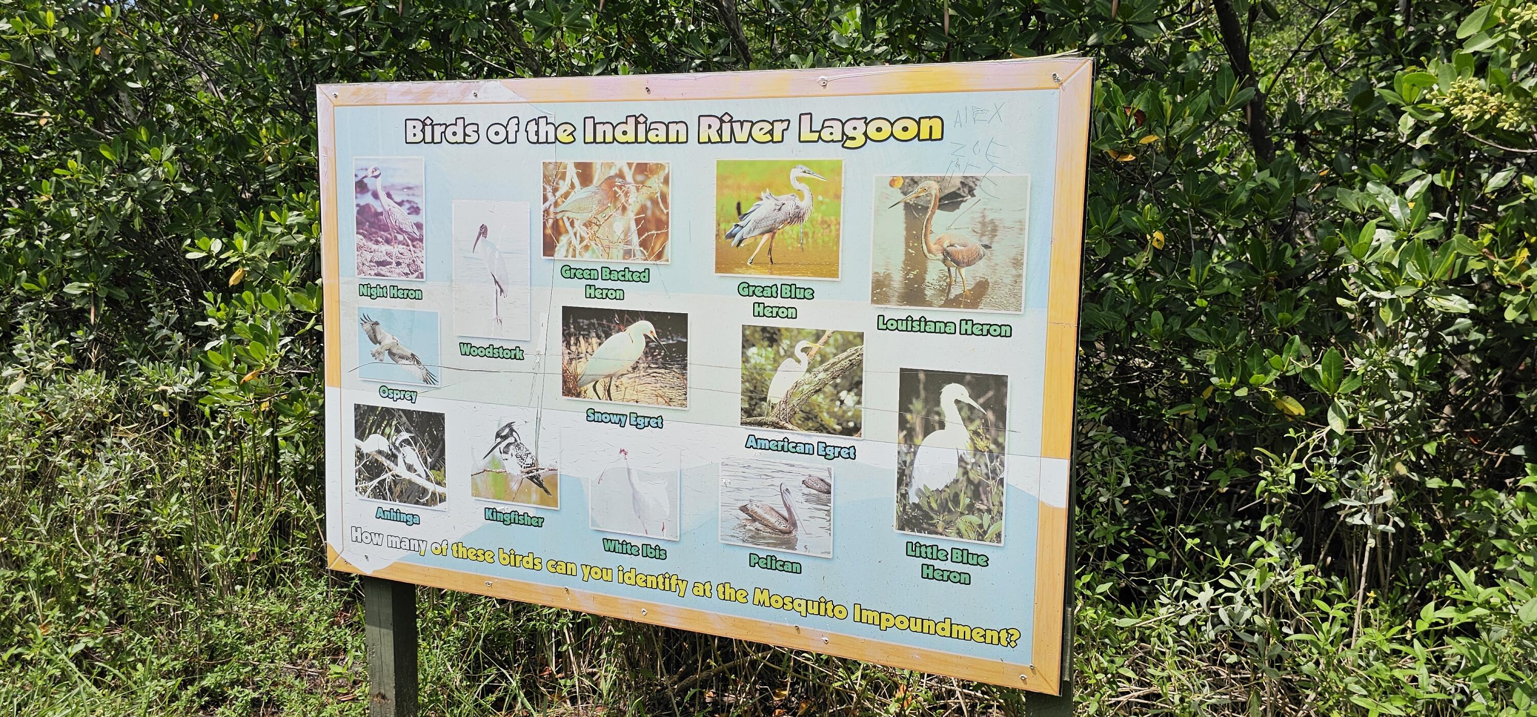 SURFSIDE HARBOR - Land