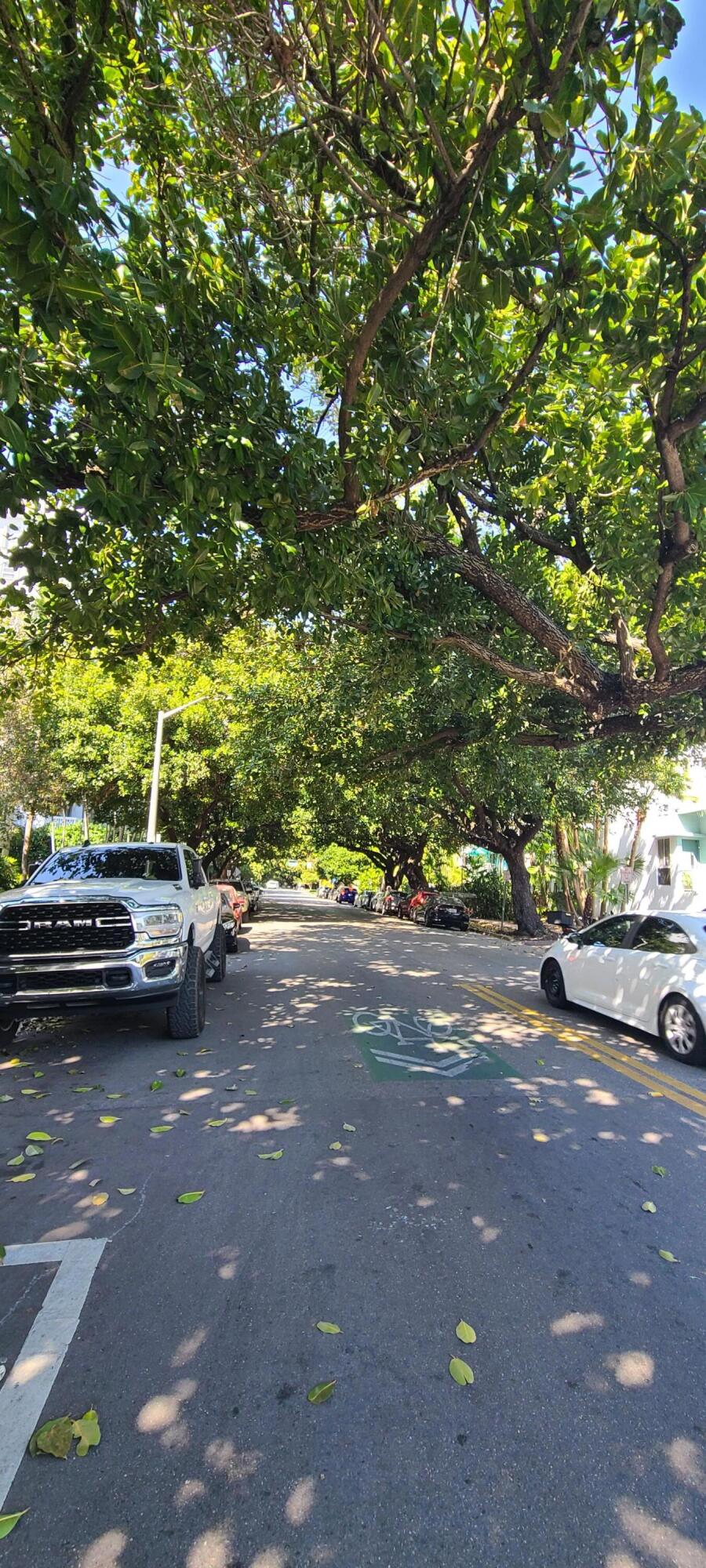 THE AMBASSADOR CONDO - Residential Lease