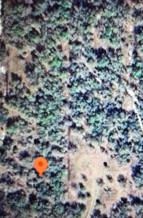 22343 NW 284th Street Okeechobee FL 34972