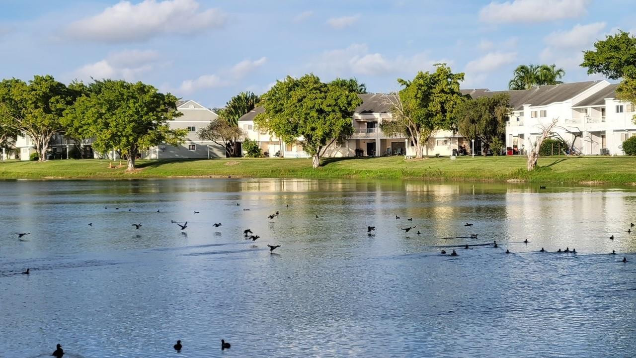 Summer Lake Condominium - Residential