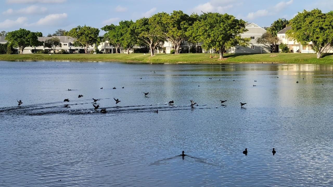 Summer Lake Condominium - Residential