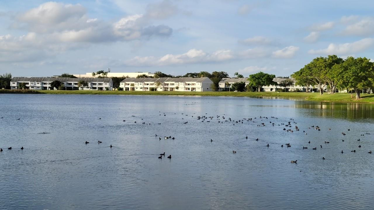 Summer Lake Condominium - Residential