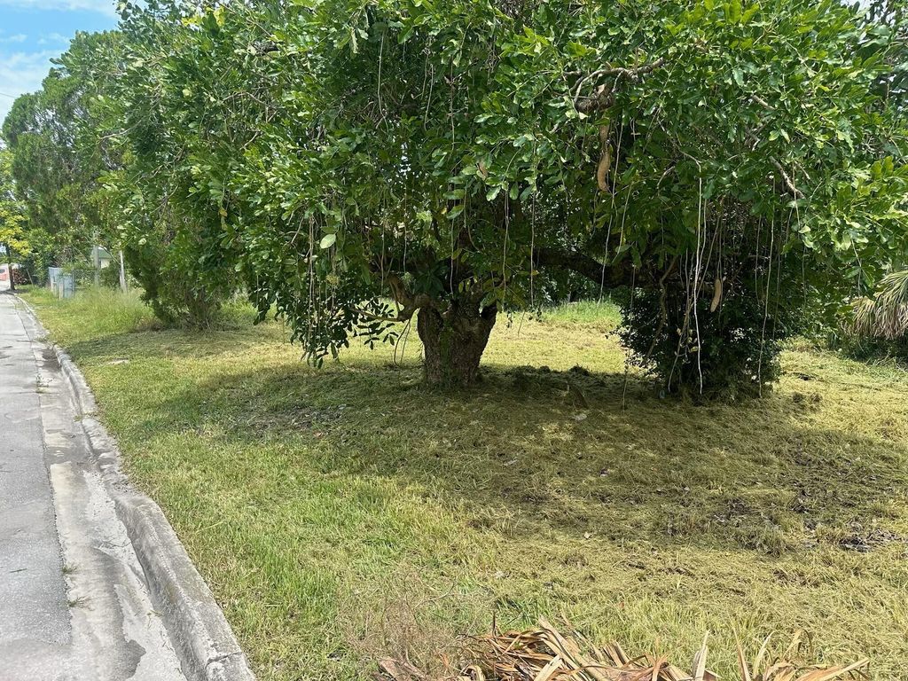 Photo of 706 Dundas Court, Fort Pierce, FL 34950 (MLS # R11039283)