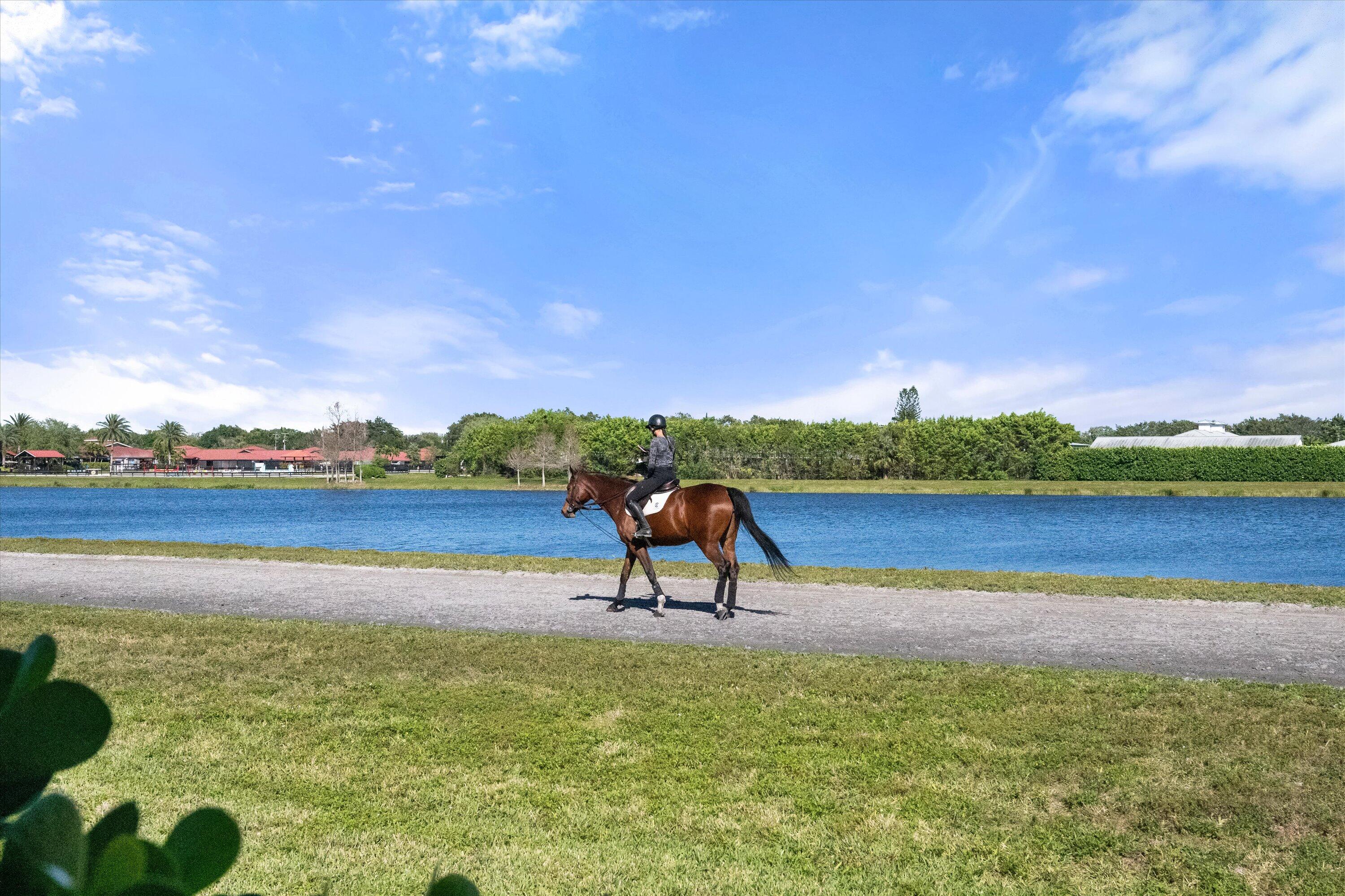 SOUTHFIELDS WELLINGTON COUNTRY - Residential