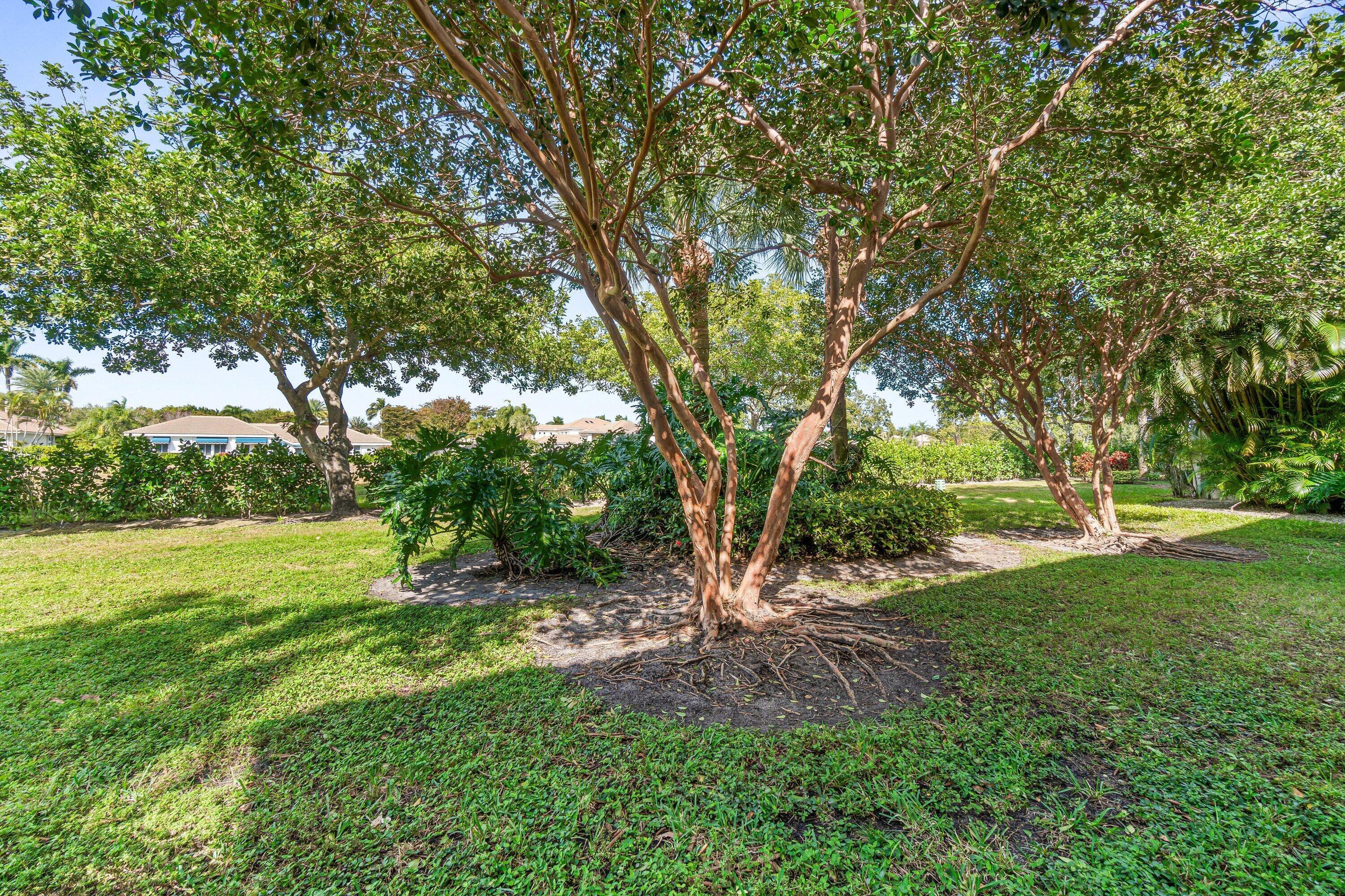 COQUINA / POLO CLUB - Residential