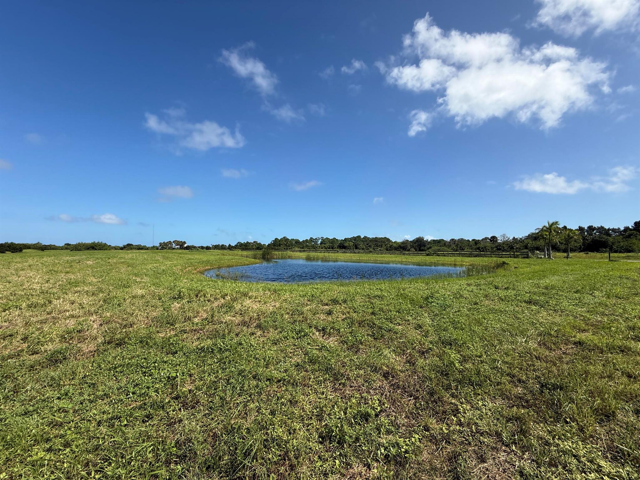 WINTER BEACH EQUESTRIAN E - Land