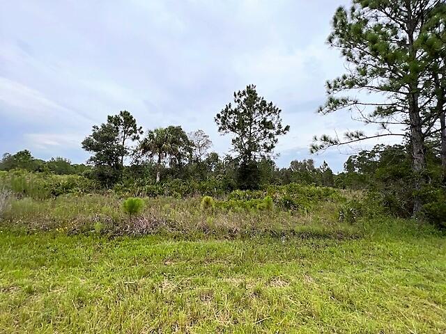 Charlotte County Florida residential lot available for your new home. Lot is north of Myakka River and south of Tamiami Trail shopping and restaurants. Buy and build or hold for investment.