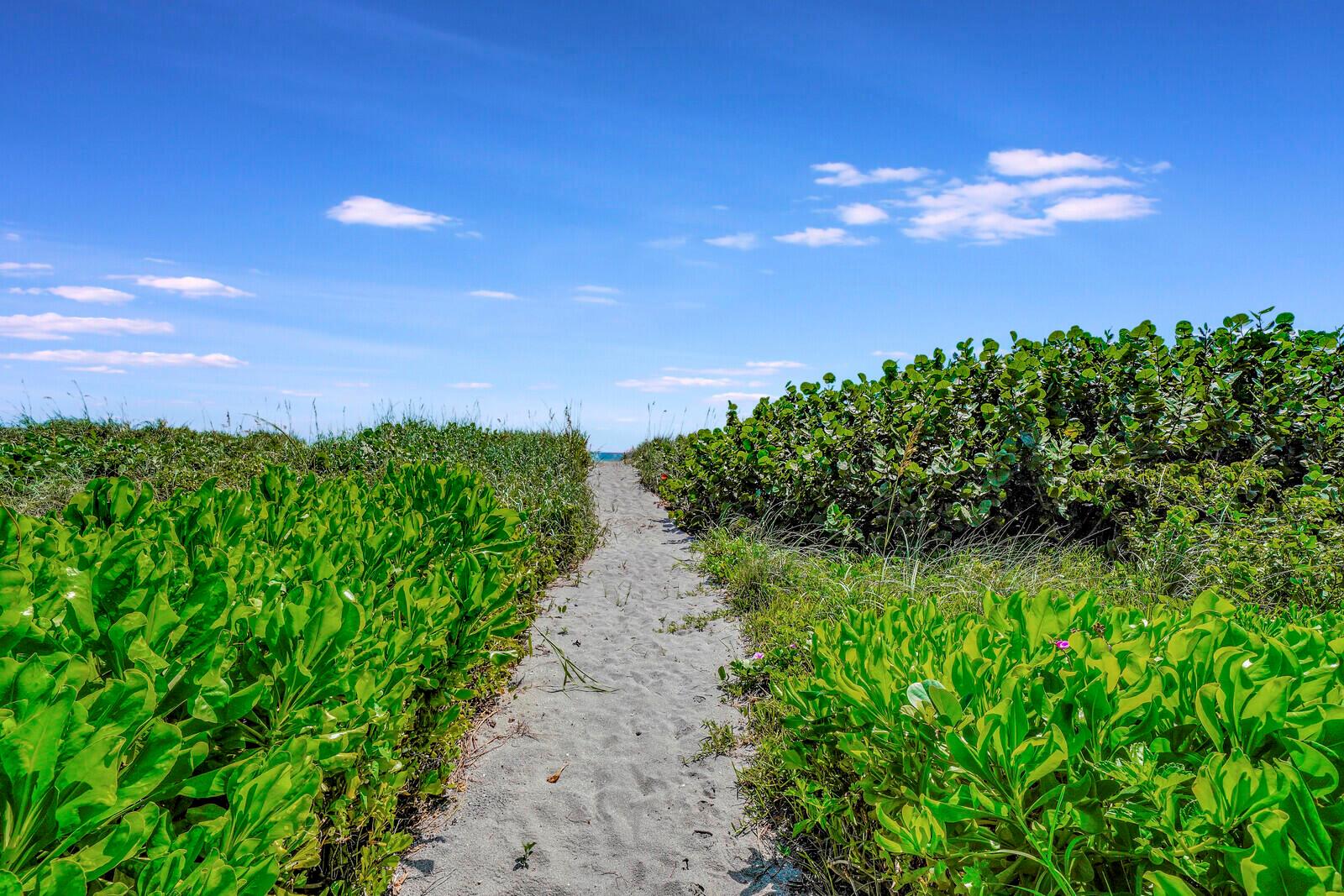 BON AIR BEACH - Residential