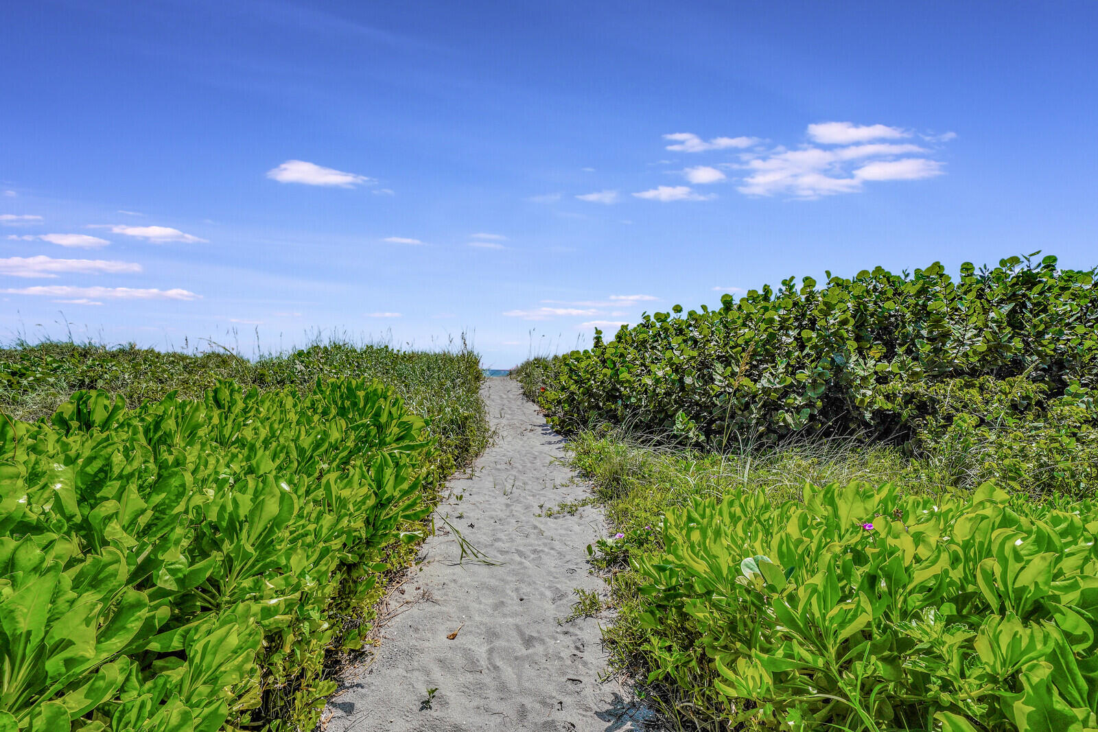 BON AIR BEACH - Residential
