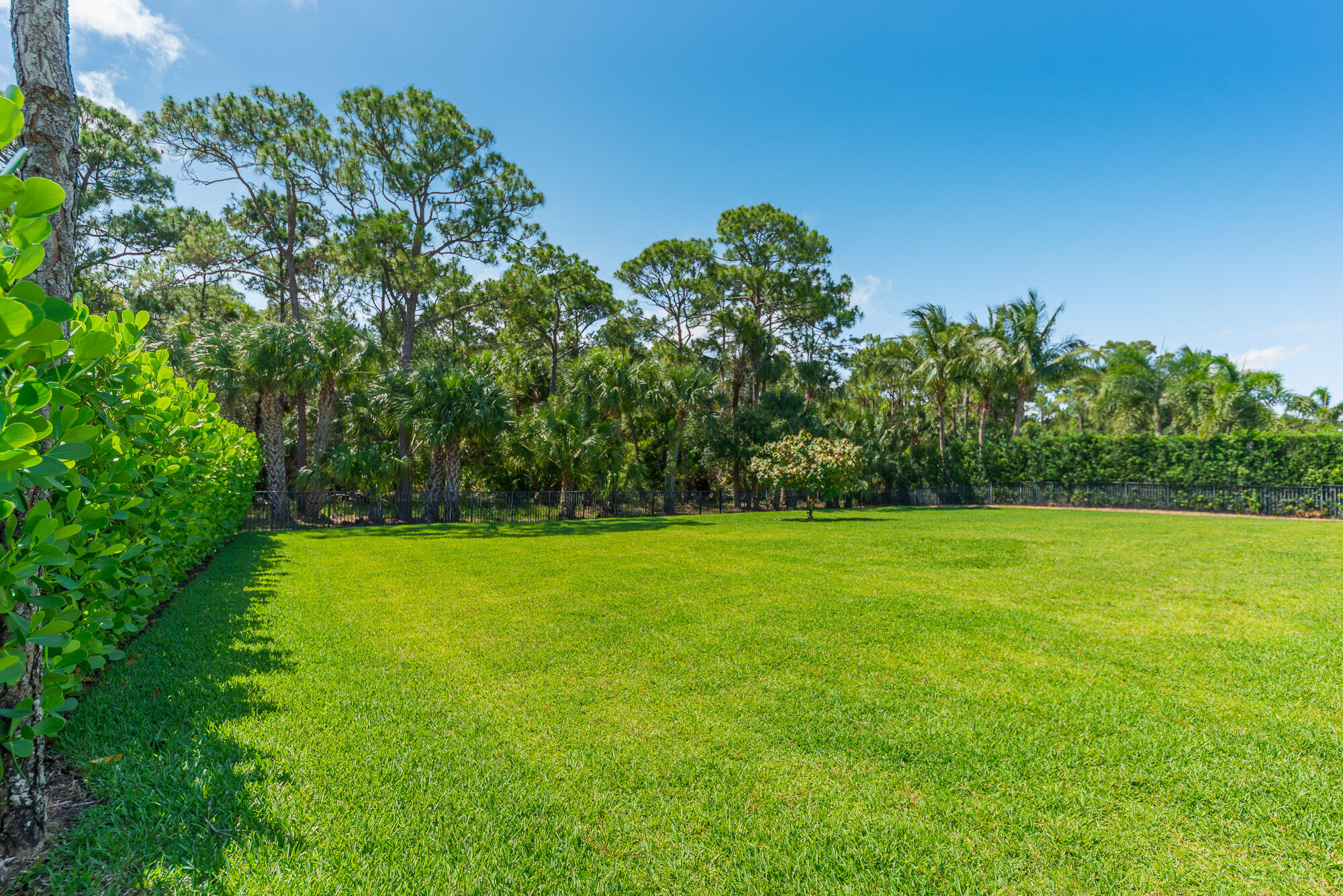 TUSCAWILLA (AKA CANOPY CREEK) - Residential