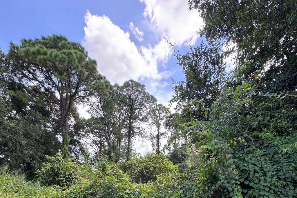 Photo of 6801 Deland Avenue, Fort Pierce, FL 34951 (MLS # B26076661)