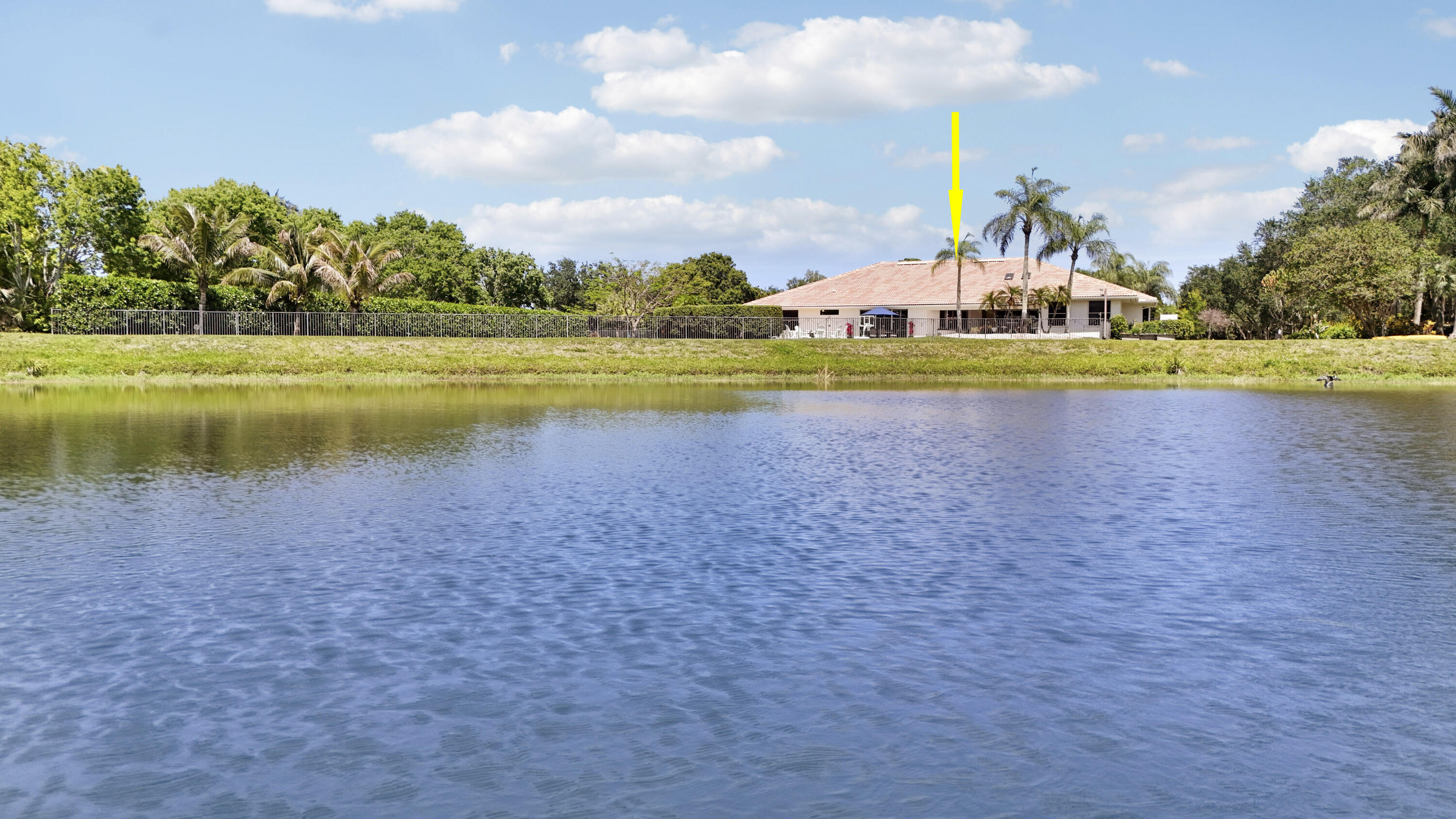 Steeplechase - Residential