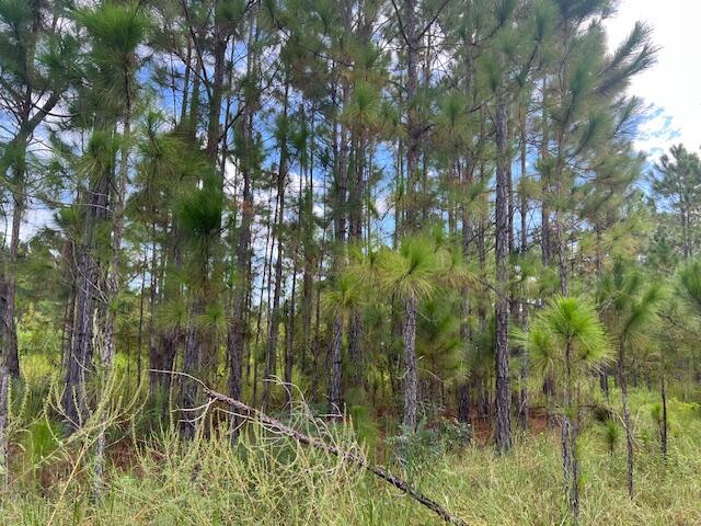 Leisure Lakes - Land