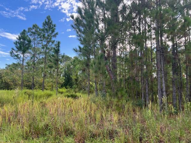 Leisure Lakes - Land