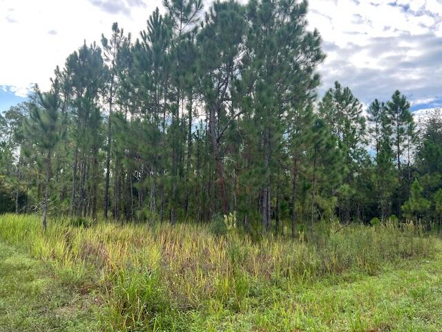 Leisure Lakes - Land