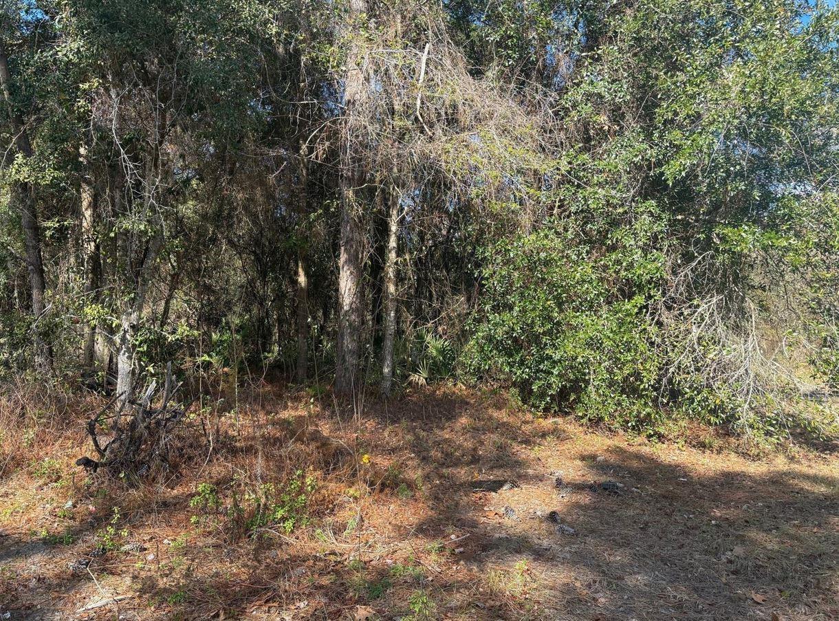 Mobile Home permitted on this 1/2 acre Homosasa lot. Plenty of room for your toys (camper boat 4-wheelers etc…). Only a couple miles from the Halls River with Gulf of Mexico access.
Owner financing available with only $1,000 down