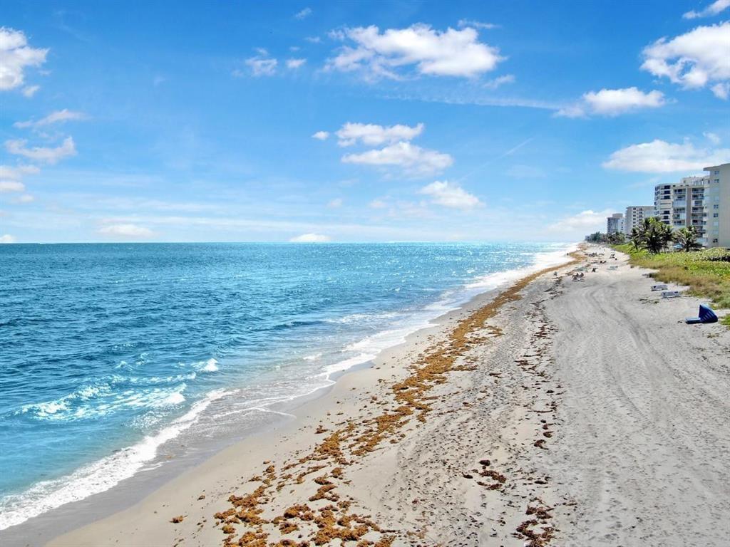 TRAFALGAR OF HIGHLAND BEACH CONDO - Residential
