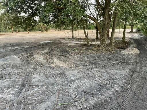 Viking Prairie - Land