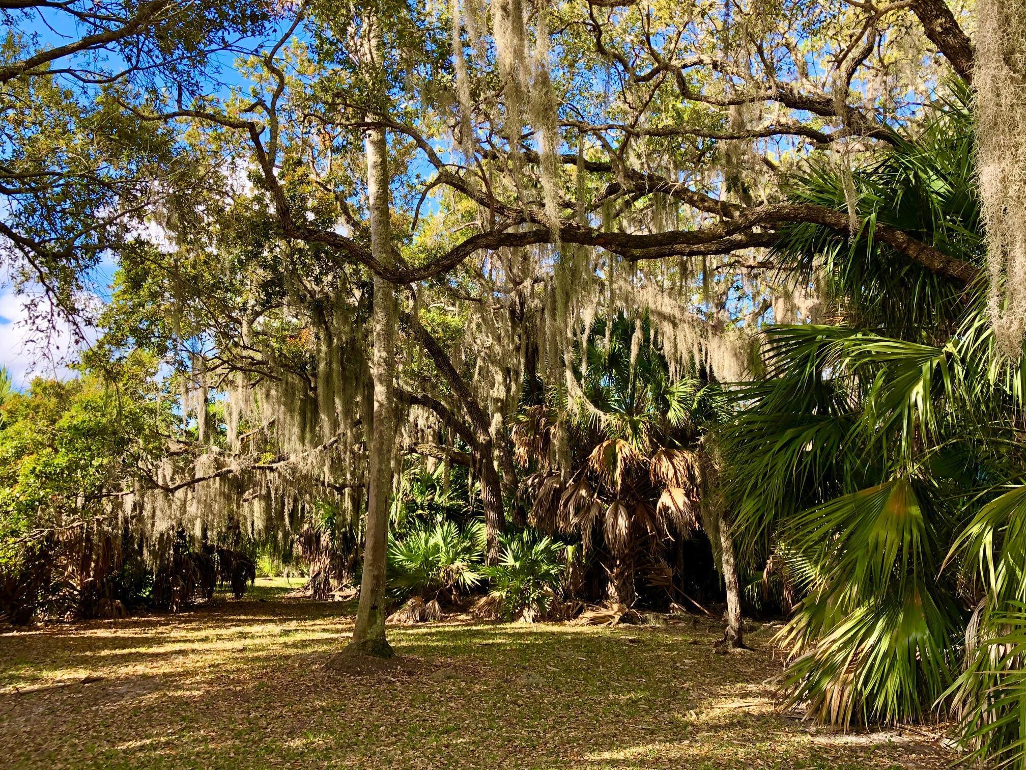 EAST LAKE VILLAGE NO 2 - Residential Lease