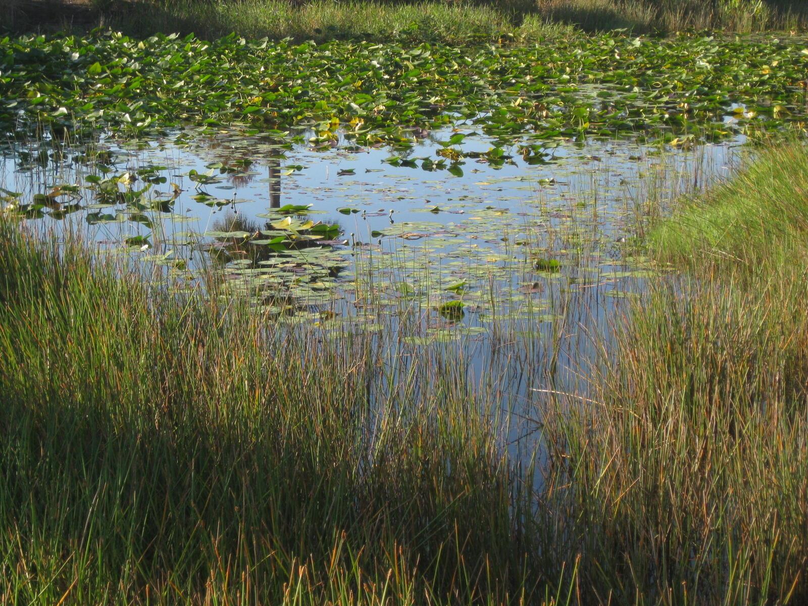 EAST LAKE VILLAGE NO 2 - Residential Lease