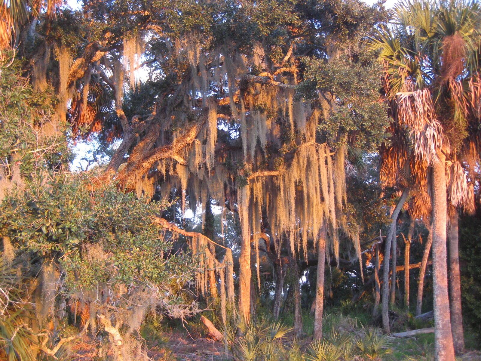 EAST LAKE VILLAGE NO 2 - Residential Lease