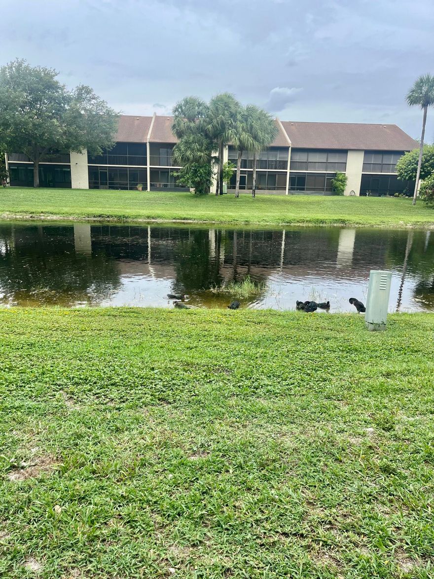 This 2 Bedroom 2 Bath fully tiled condo with lake view has new AC & a newer water heater unit, has been freshly painted, now waiting for new owners to put the finishing touches. Willow Bend is an active 55 community with 2 clubhouses, 2 pools & so many amenities. A great place to call home, close to shopping and restaurants come tale a look.