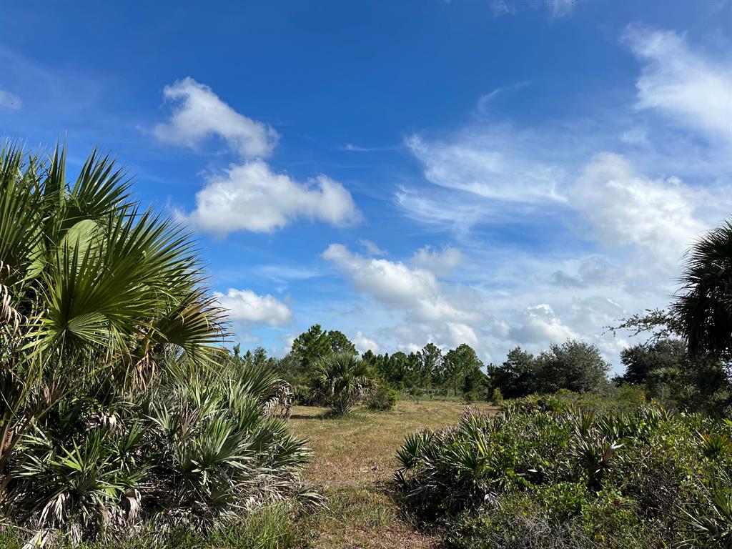 Build or bring your dream home and barn on this beautiful and private HIGH AND DRY semi clear 3-acre lot large enough so you can bring your animals too. With power poles on this street making it easy to put power at your new home has some of trees for privacy. There is so much to enjoy in Okeechobee County. Come to The Kissimmee River Preserve State Park West of this area as well is the Kissimmee River. The Kissimmee River flows into Lake Okeechobee and is well known for some of the best fishing. whether you like Fishing, hunting, mudding agriculture or just privacy here you have it all. Financing available