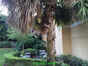 VILLAS AT EMERALD DUNES C - Residential