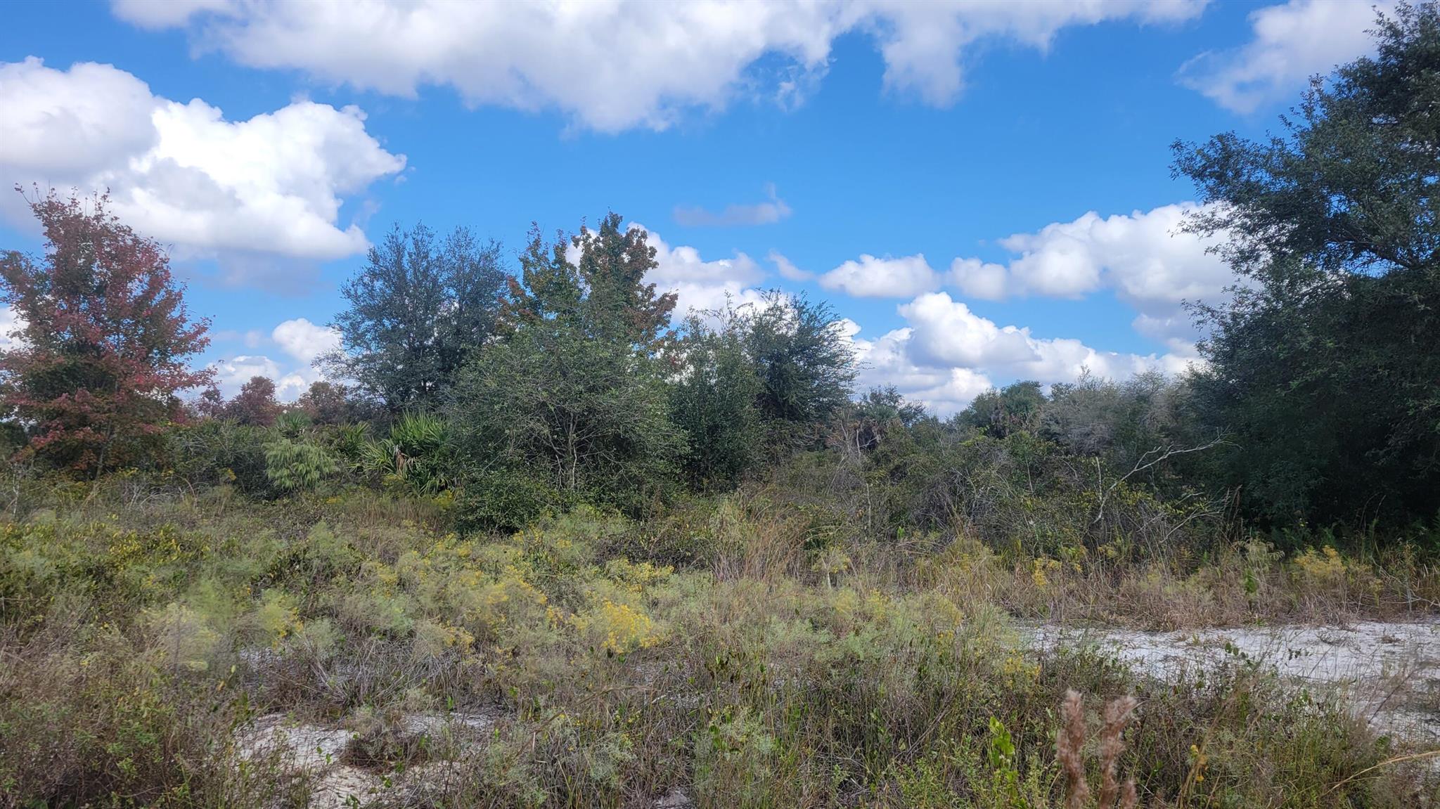 Vicking Estates - Land