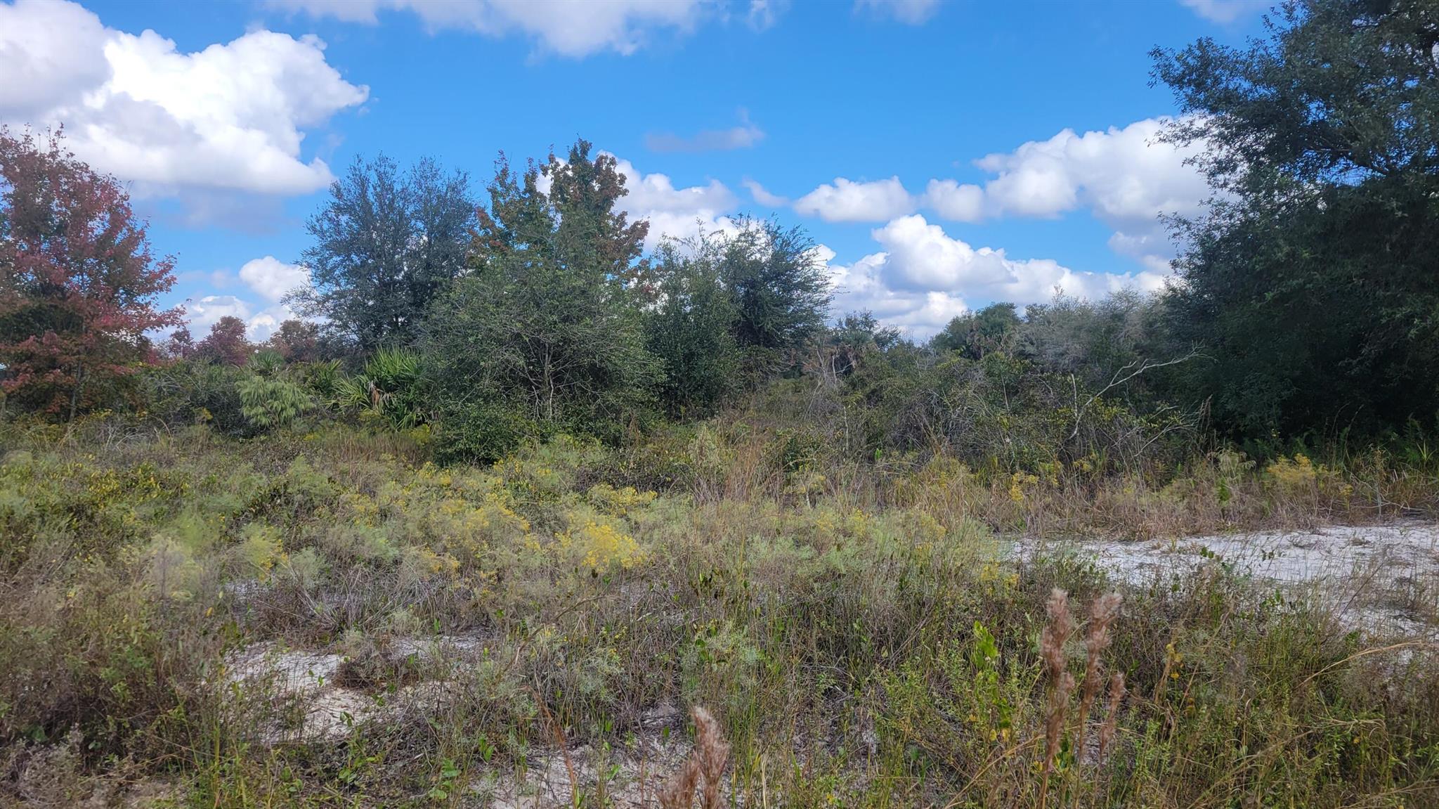 Vicking Estates - Land