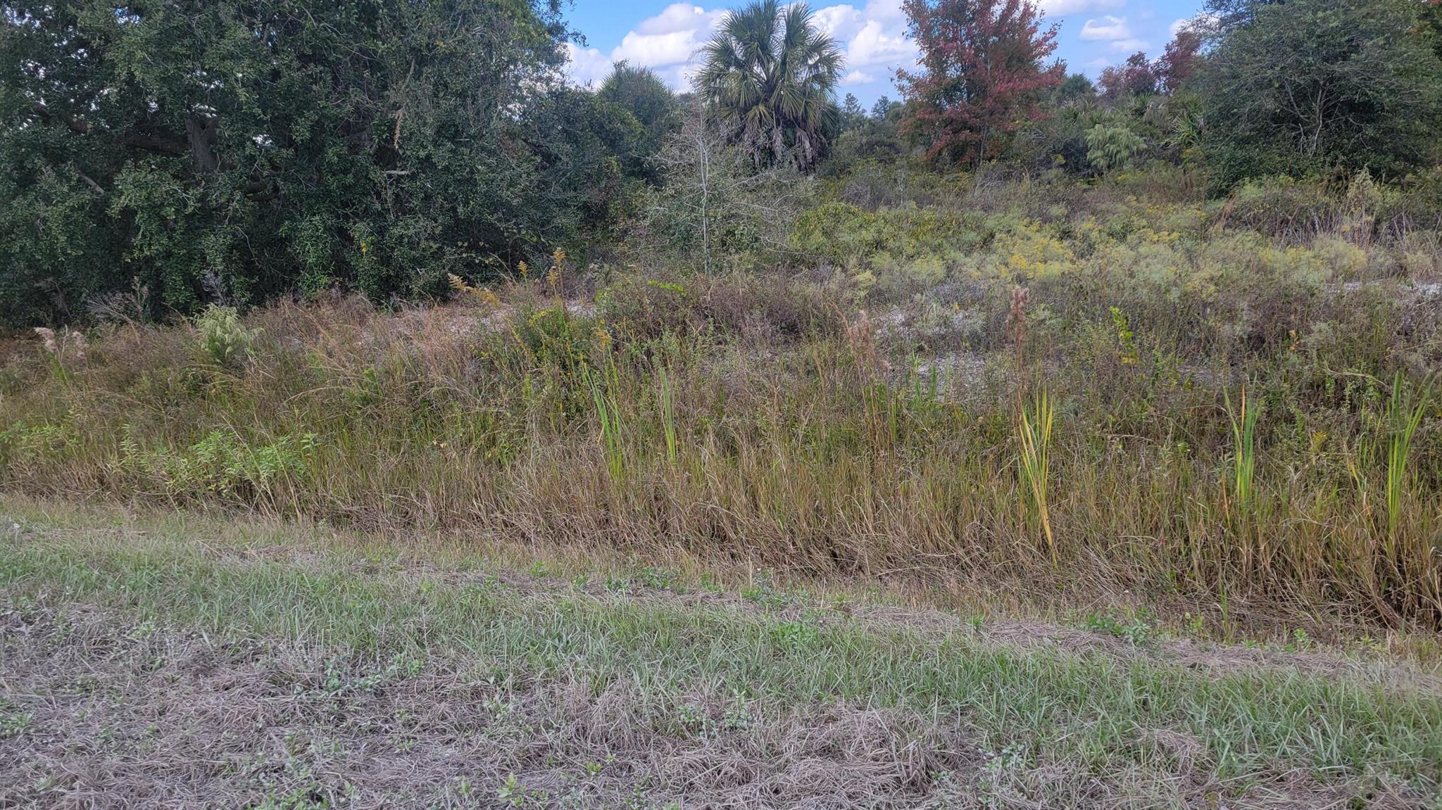 Vicking Estates - Land