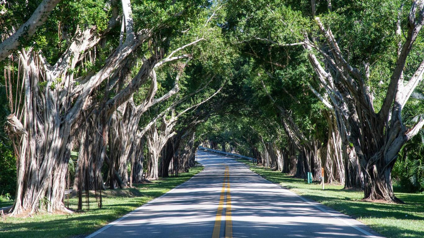 BANYAN GROVES AT HOBE SOUND - Residential