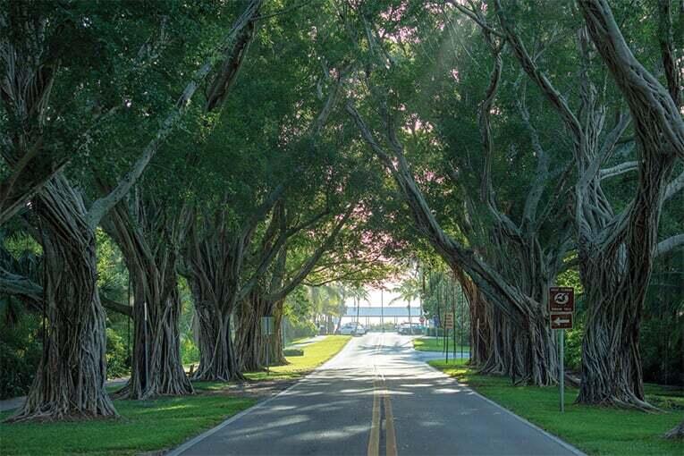BANYAN GROVES AT HOBE SOUND - Residential
