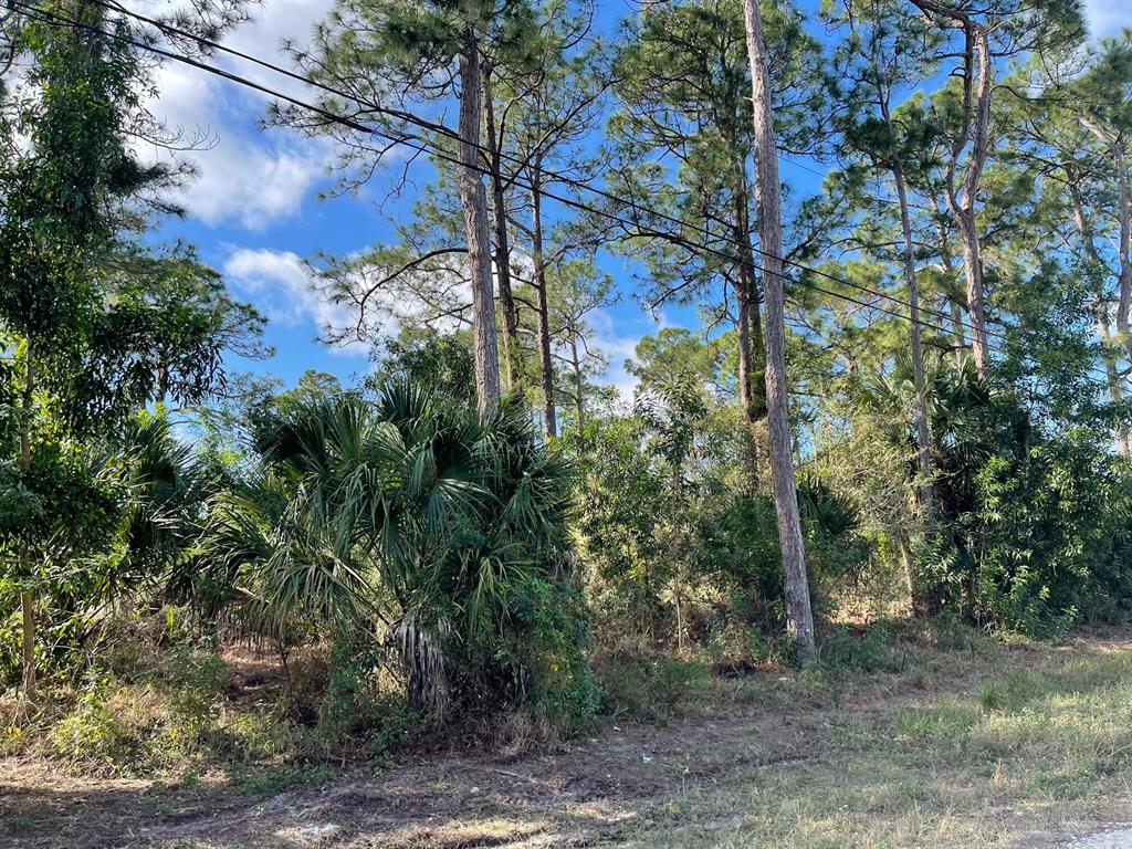 1.28 acre lot in prime location. Nicely treed with a small canal behind.