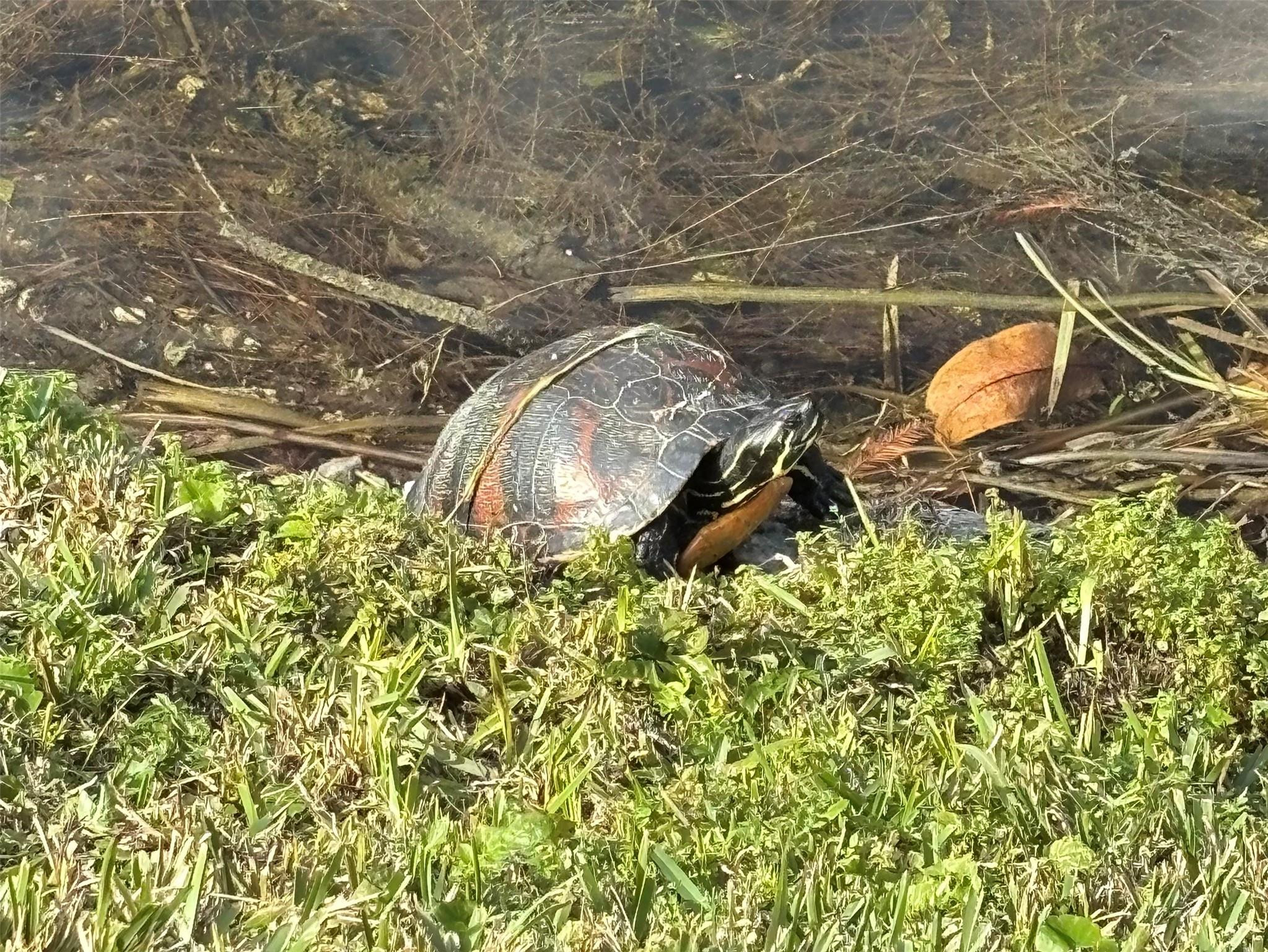 TAMARAC LAKES NORTH - Residential