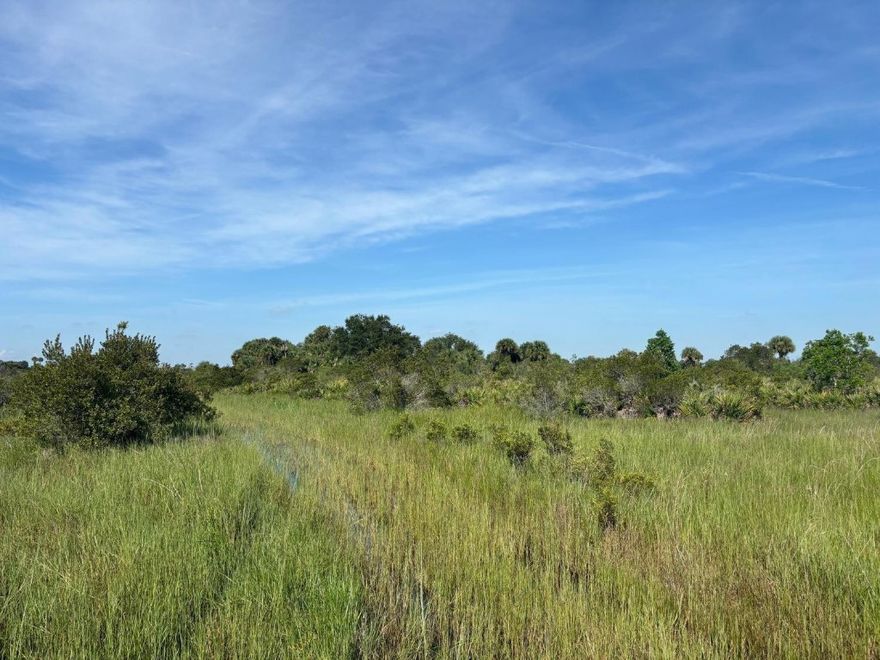 5 acres in Viking Estates. Close to the Kissimmee Prairie State Park. Bring your 4 -wheelers. This property is not only ideal for recreational uses such has camping, hunting and shooting, but it’s agricultural as well.Owner financing available