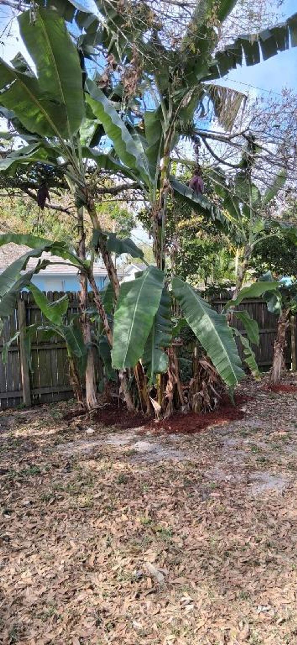 Photo of 1511 20th Avenue SW, Vero Beach, FL 32962 (MLS # R11036497)