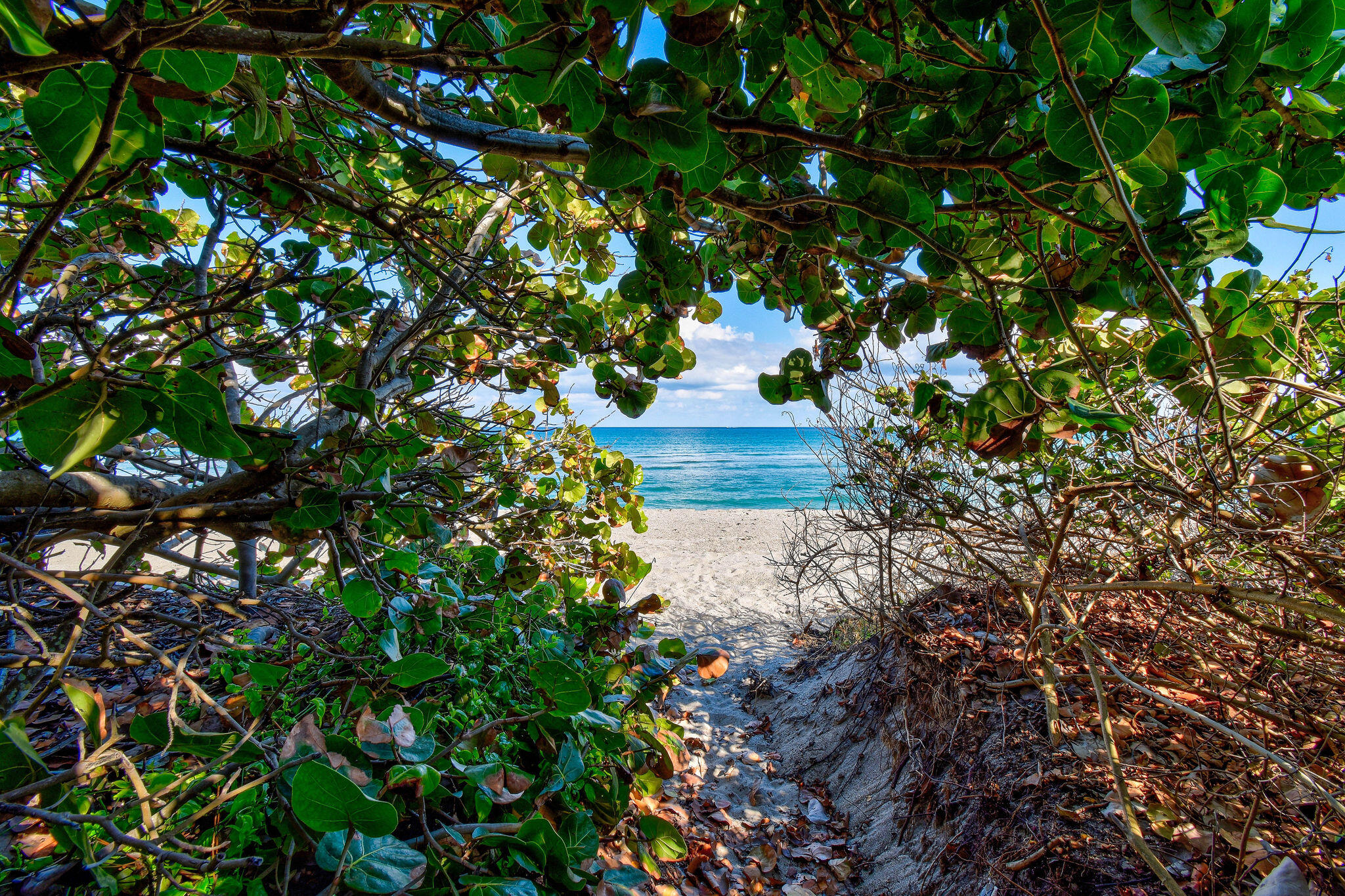 SURFSIDE PARK - Residential Income