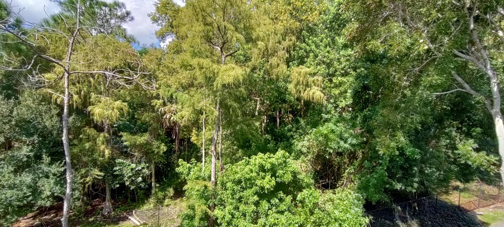 GRAND VIEW AT CRESTWOOD CONDO - Residential