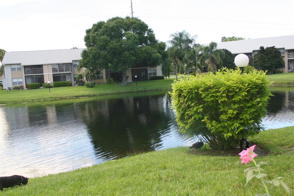 INDIAN PINES CONDO - Residential