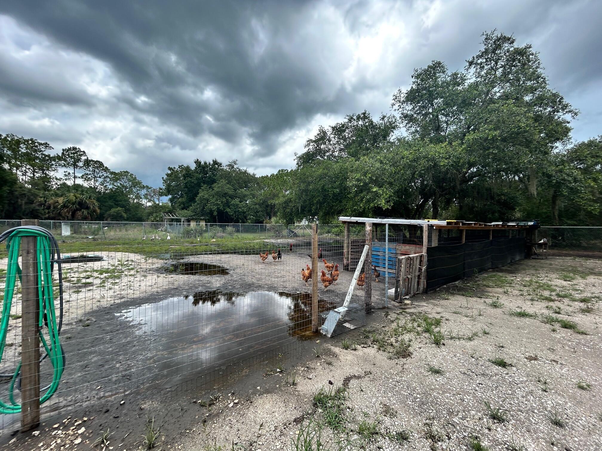 MONTURA RANCH EST 1 ST S/D - Residential