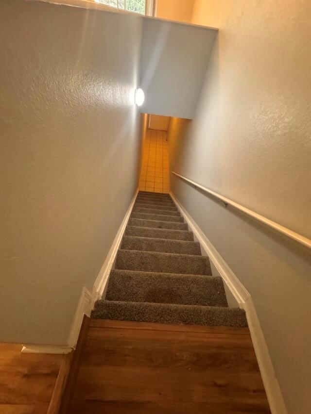 THE BELMONT II AT ST LUCI - Residential Lease