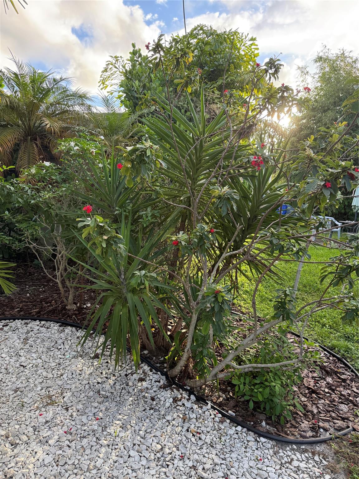 Waverly Place 2-19 D - Residential Lease