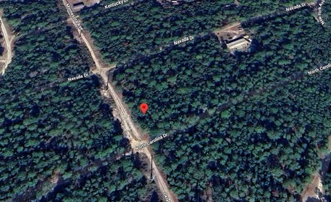 118 N Carolina Dr Other FL 32189