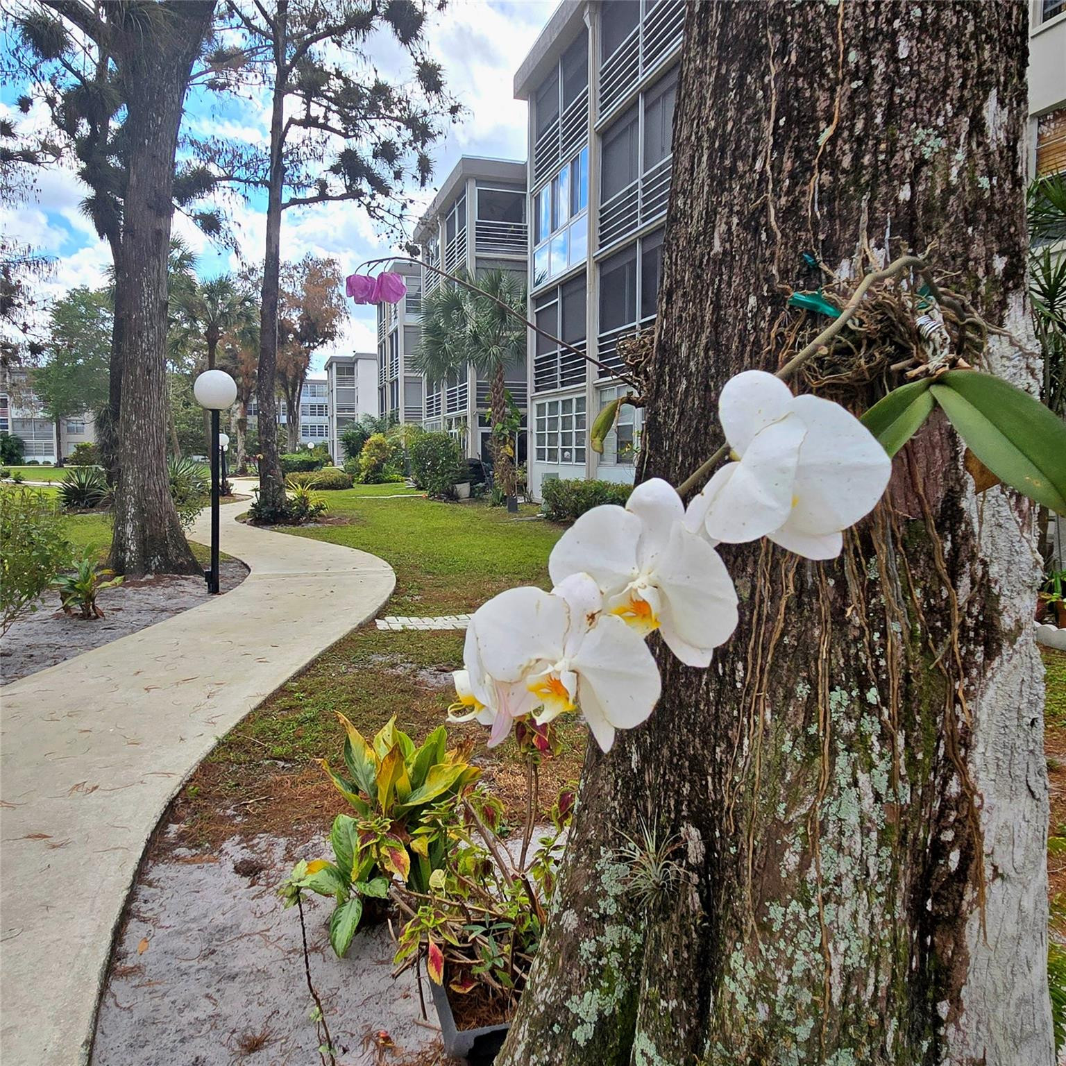 CYPRESS CHASE - Residential