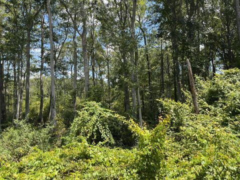 207 Ward Avenue Crescent City FL 32112