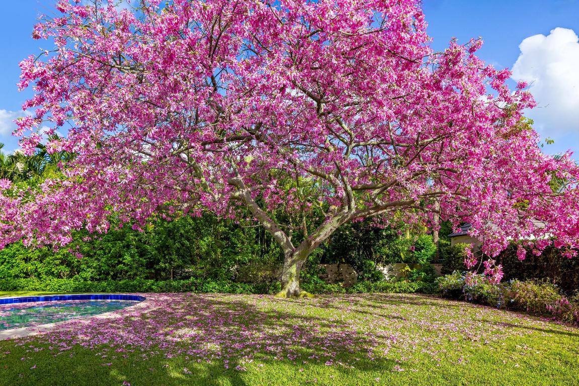 PRIMAVERA ESTATES (MIDDLE SEC) - Land