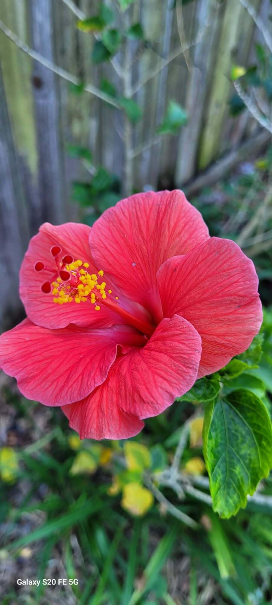 PORT ST LUCIE SECTION 19 - Residential