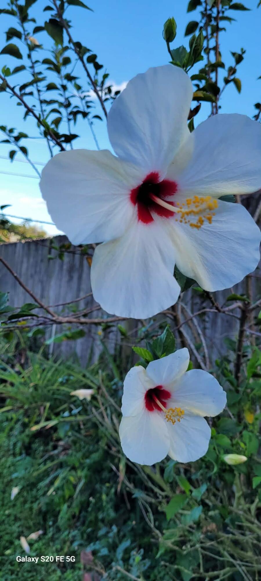 PORT ST LUCIE SECTION 19 - Residential