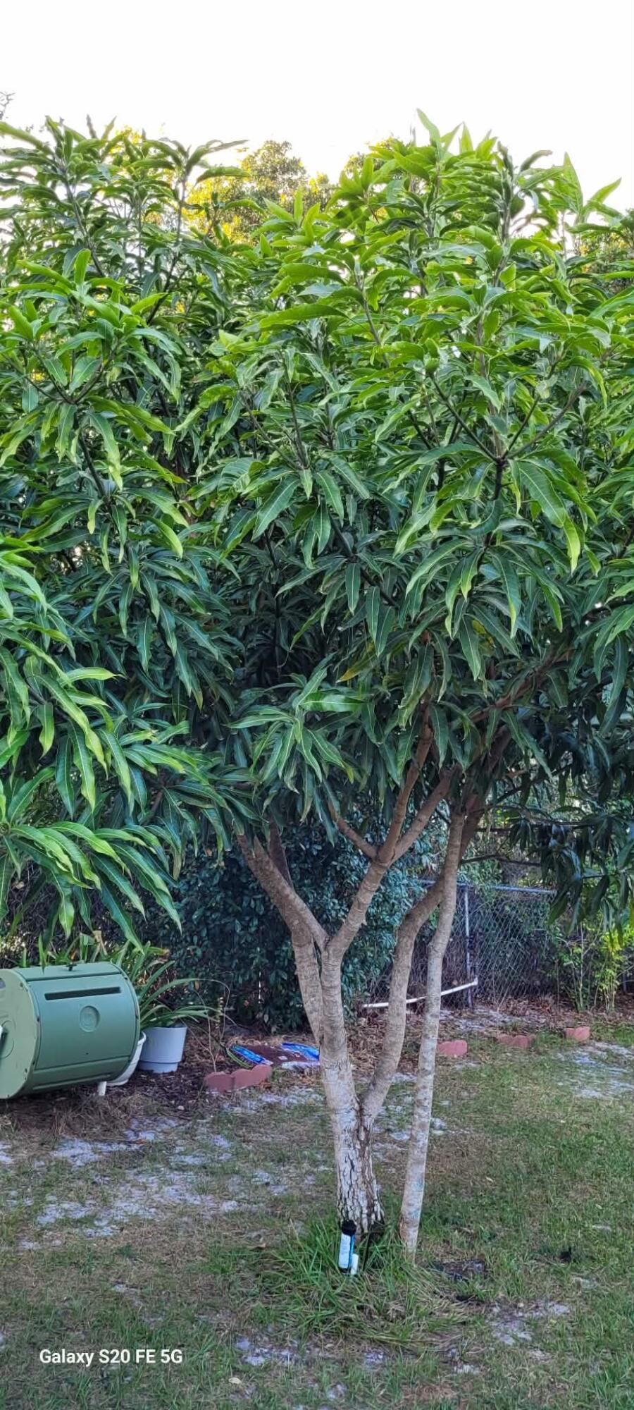 PORT ST LUCIE SECTION 19 - Residential